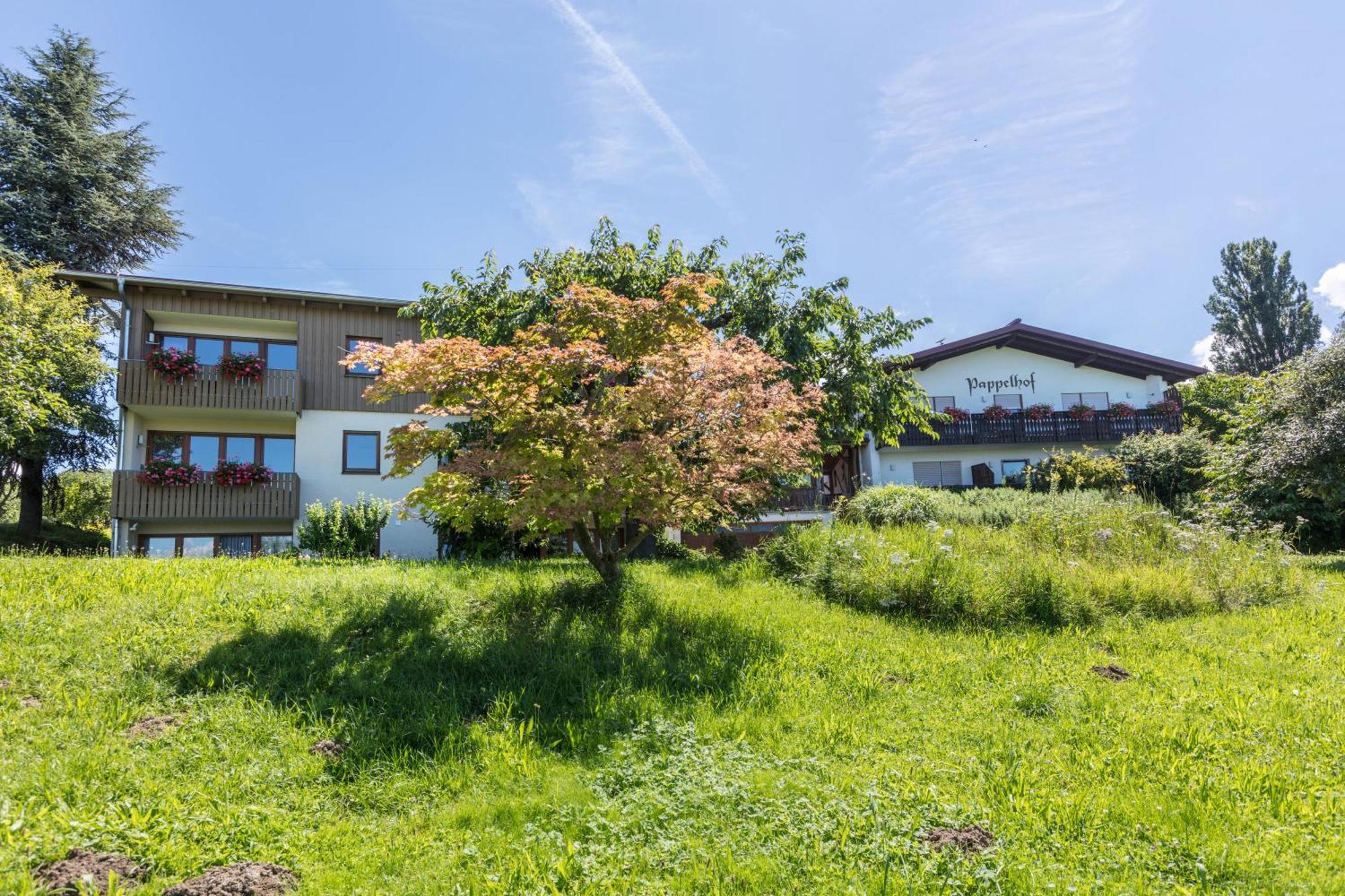 Pappelhof Lägenhet Bad Bellingen Exteriör bild