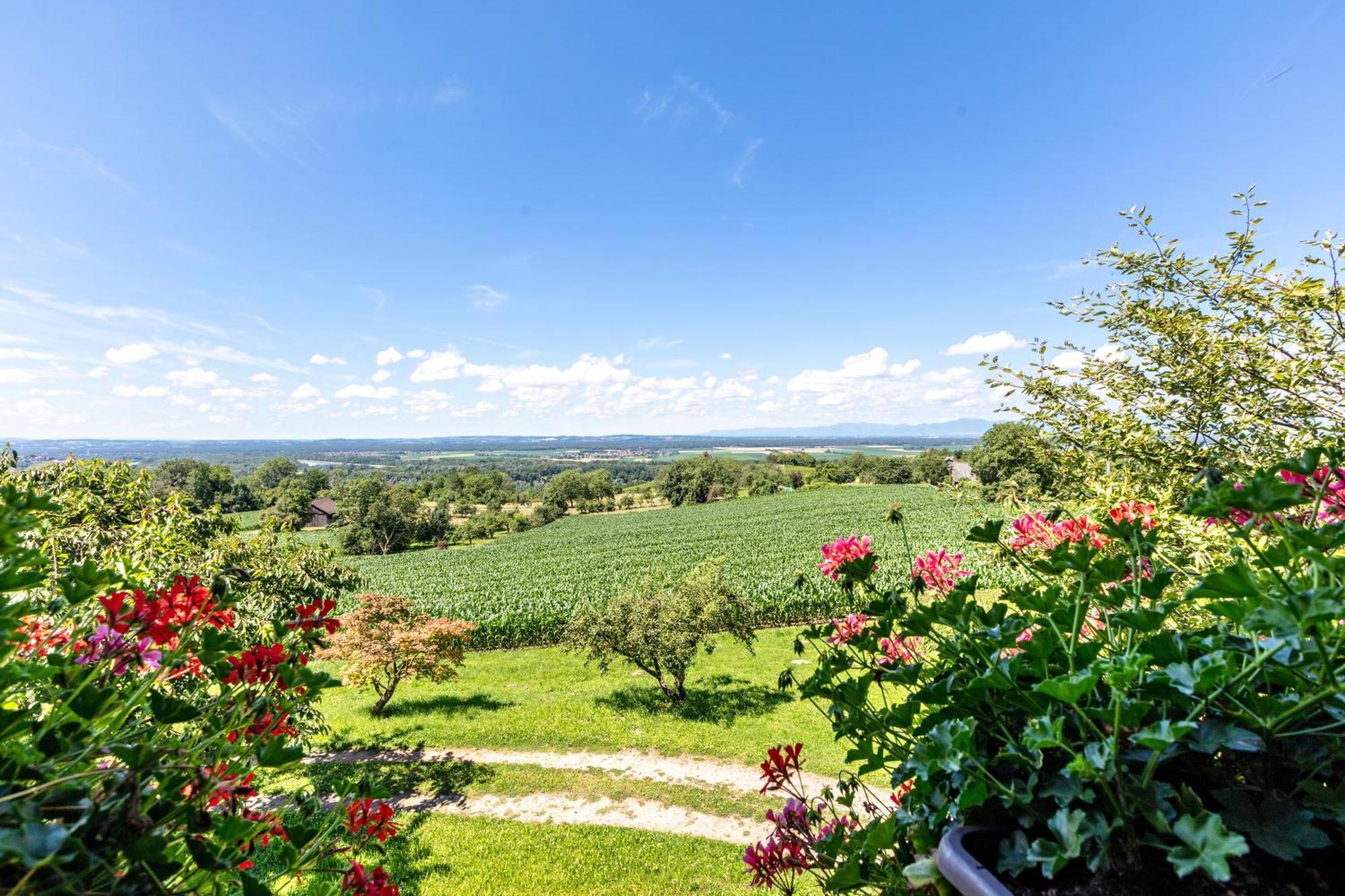 Pappelhof Lägenhet Bad Bellingen Exteriör bild
