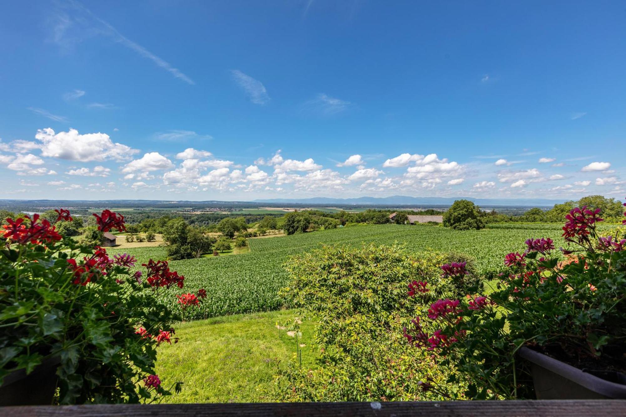 Pappelhof Lägenhet Bad Bellingen Exteriör bild