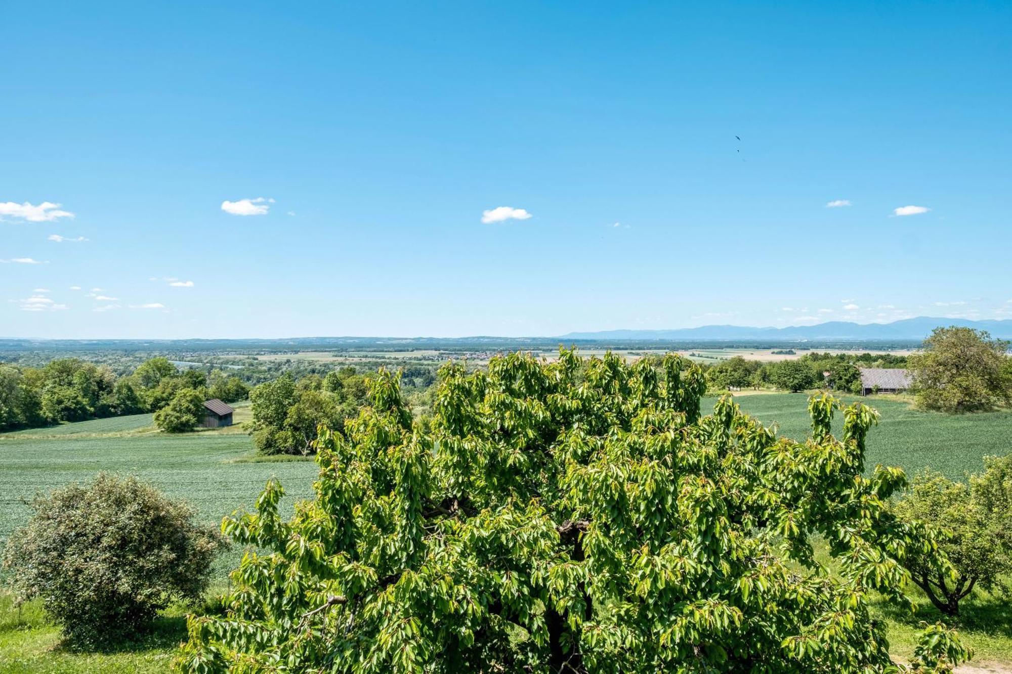 Pappelhof Lägenhet Bad Bellingen Exteriör bild