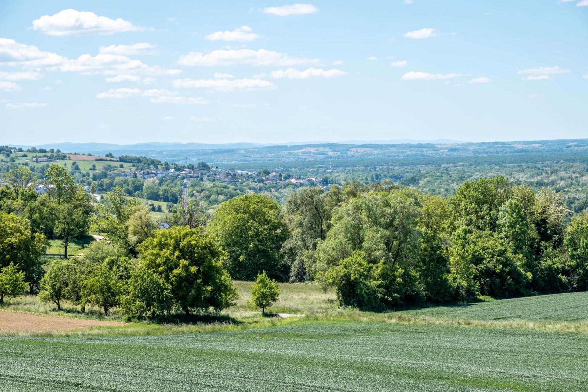 Pappelhof Lägenhet Bad Bellingen Exteriör bild